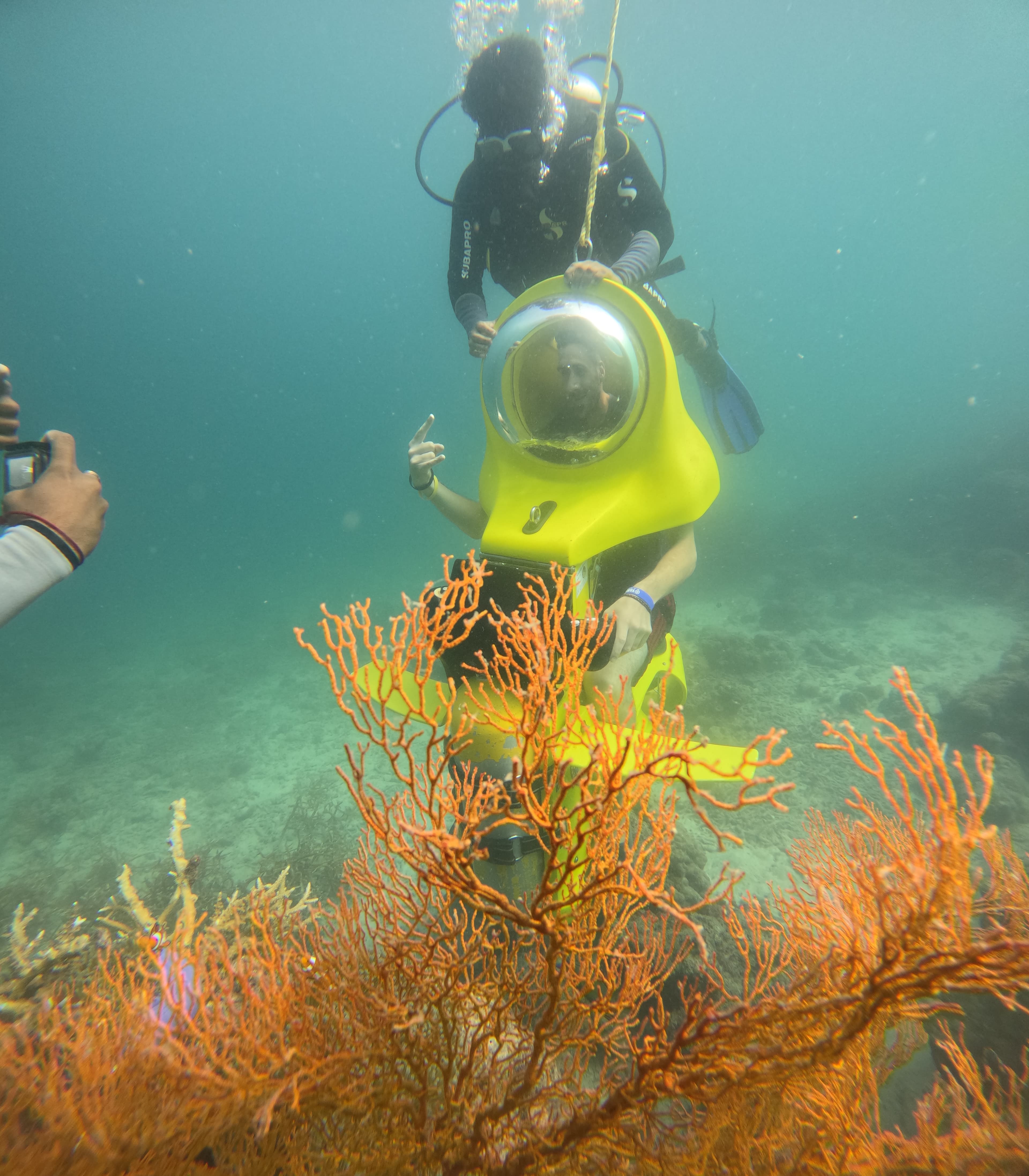 Underwater Marine Life