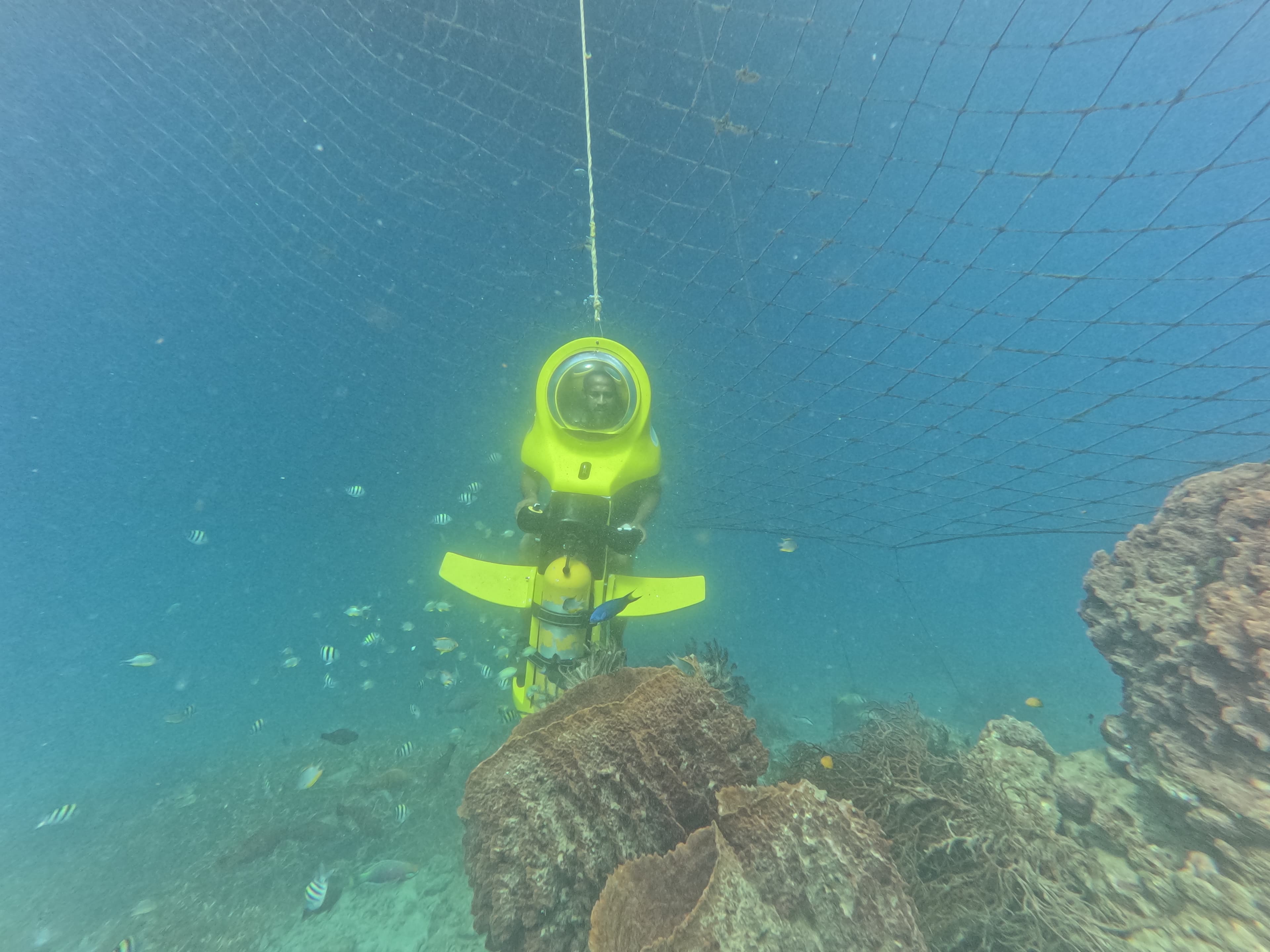 Marine Sanctuary